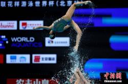 开云体育平台APP-关于游泳比赛金牌得主凯旋而归，实至名归的信息