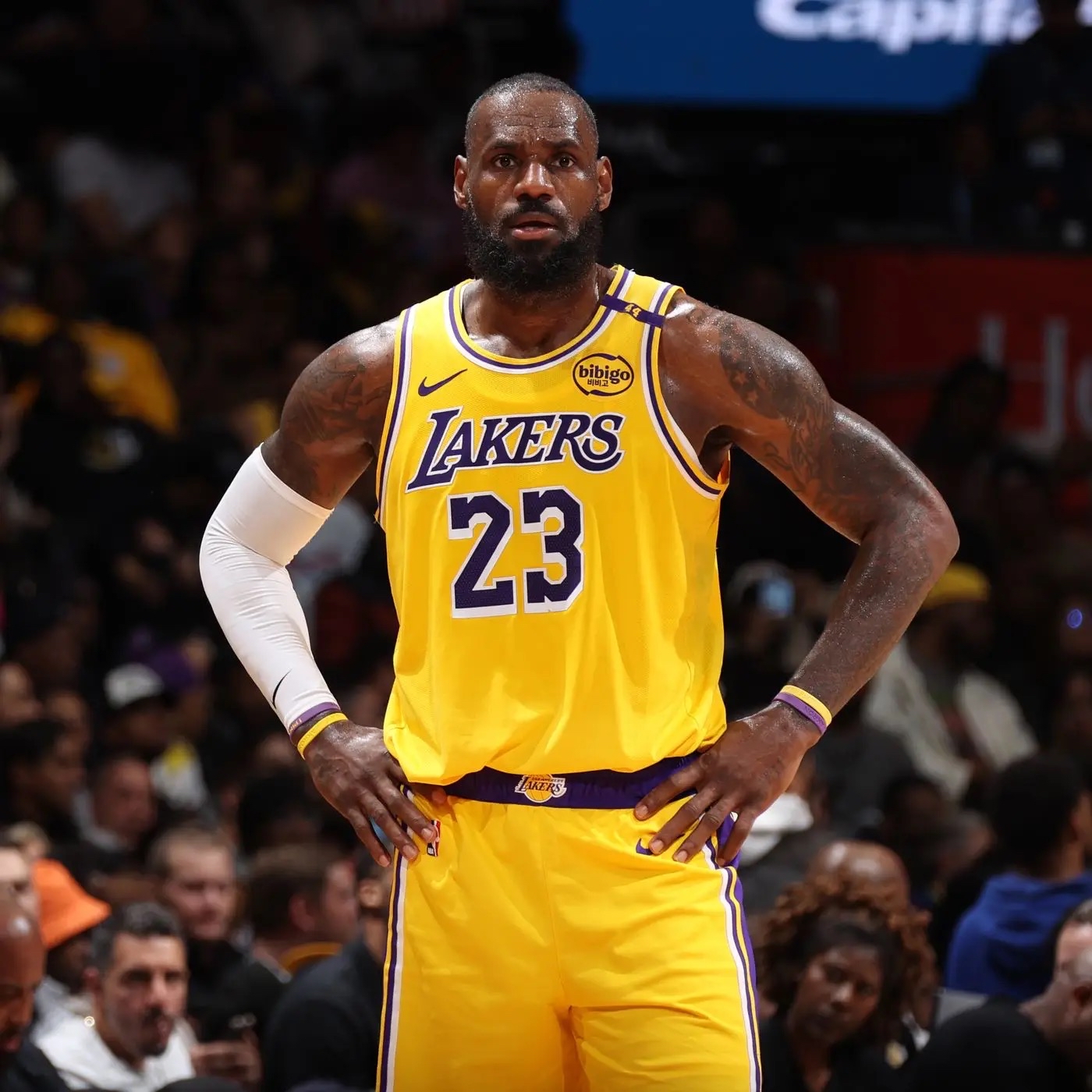 关于一位球员在本赛季中表现出色,取得了明显的进步和突破的信息 关于一位球员在本赛季中表现出色,取得了明显的进步和突破的信息