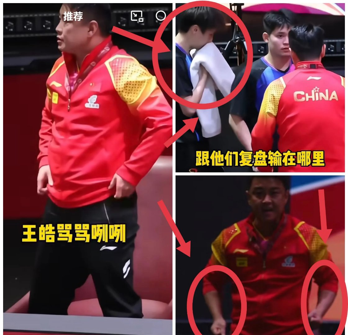 中国乒乓球队险胜瑞典乒乓球队，水谷隼制霸全场的简单介绍