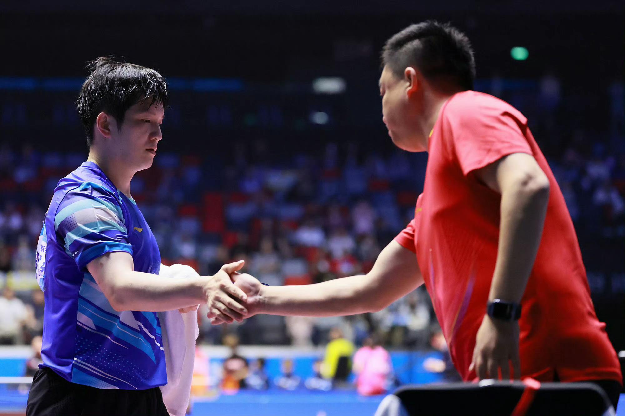 韩国队翻盘英格兰队，樊振东点燃赛场